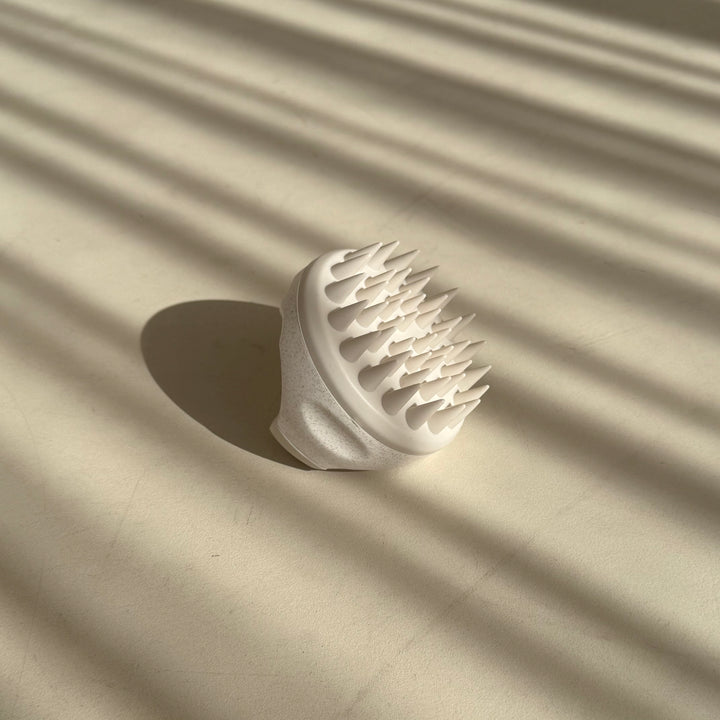 מברשת לעיסוי הקרקפת בז׳